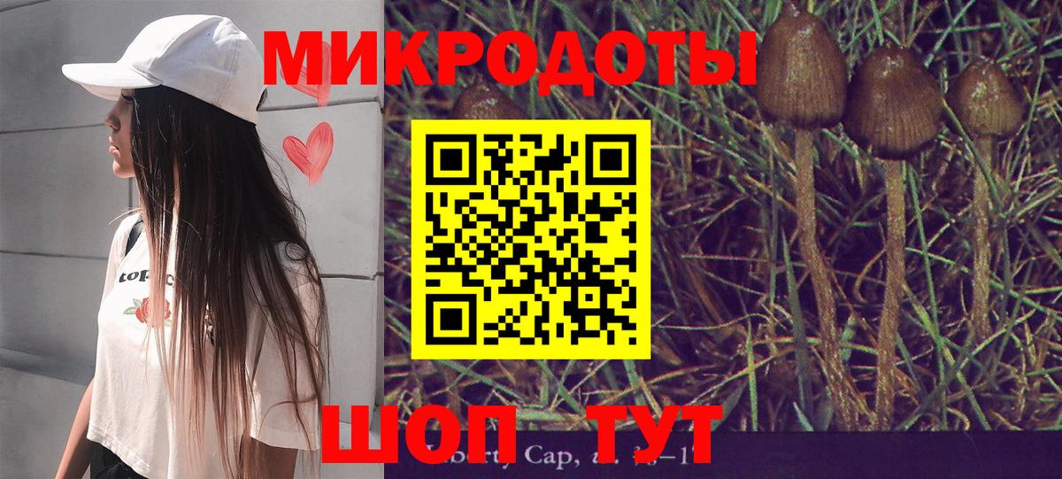 Галлюциногенные грибы мухоморы Сергиев Посад