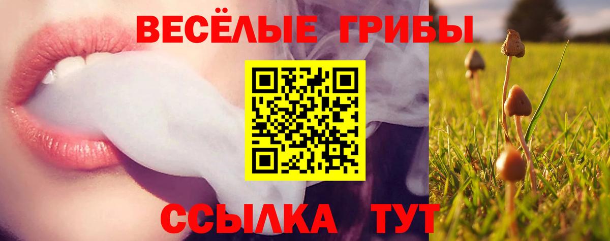 Псилоцибиновые грибы прущие грибы  Вход с VPN  Сергиев Посад 